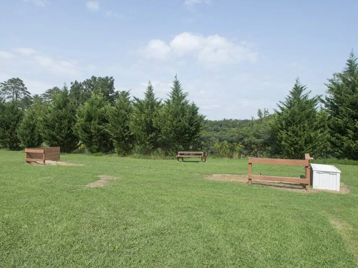 A peaceful outdoor area with wooden benches scattered across green grass, shaded by trees, and gentle hills in the background. The open space offers an inviting spot for picnics or relaxed socializing amidst nature.