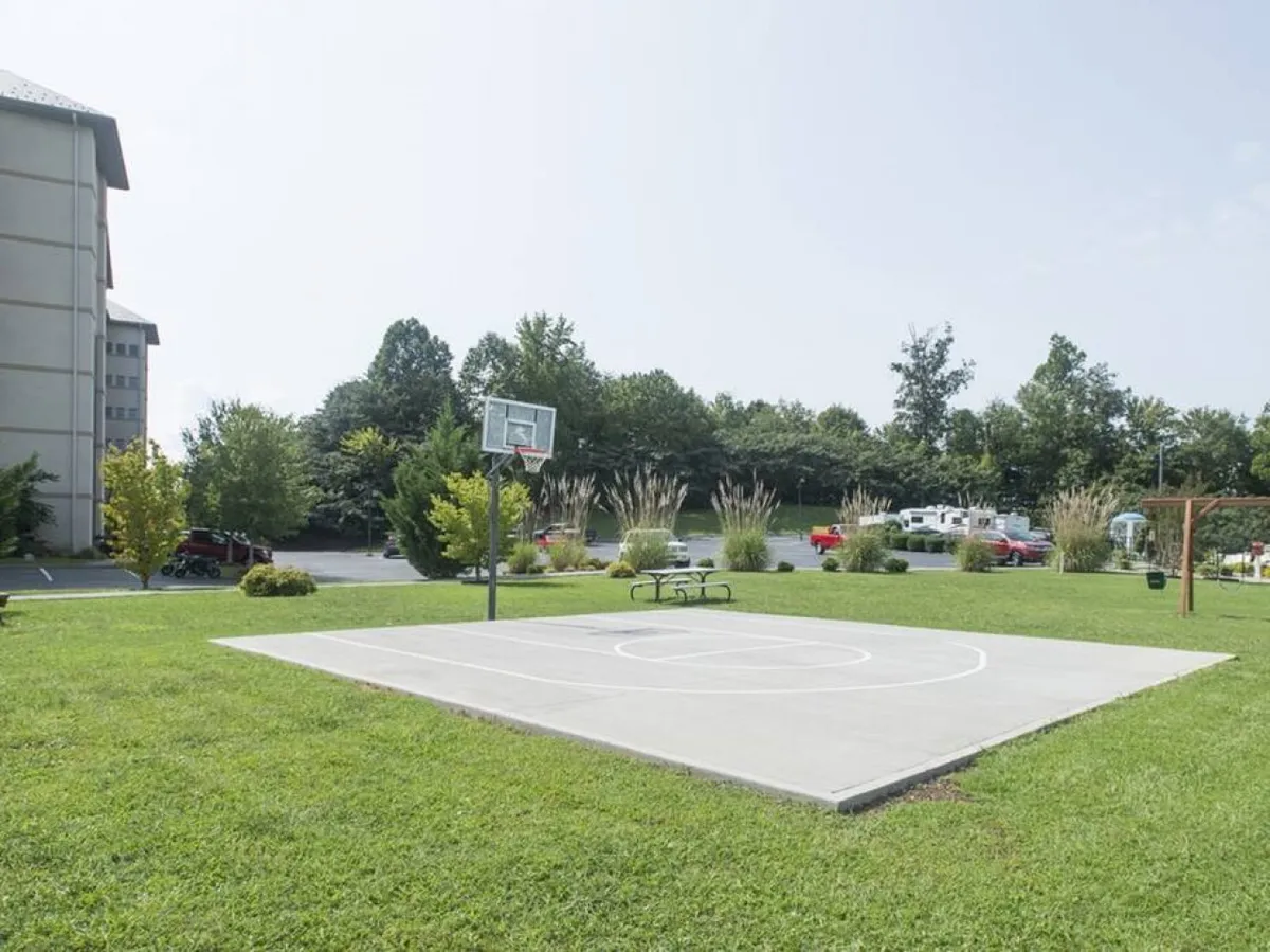 A bright outdoor basketball court with a hoop, open green lawn, and surrounding trees. The scene is lively, with families and children playing, and others relaxing nearby on the grass.